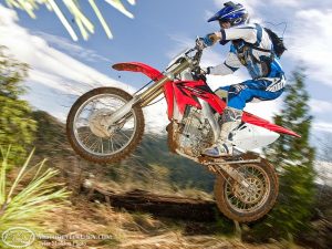 difference between dual sport and enduro